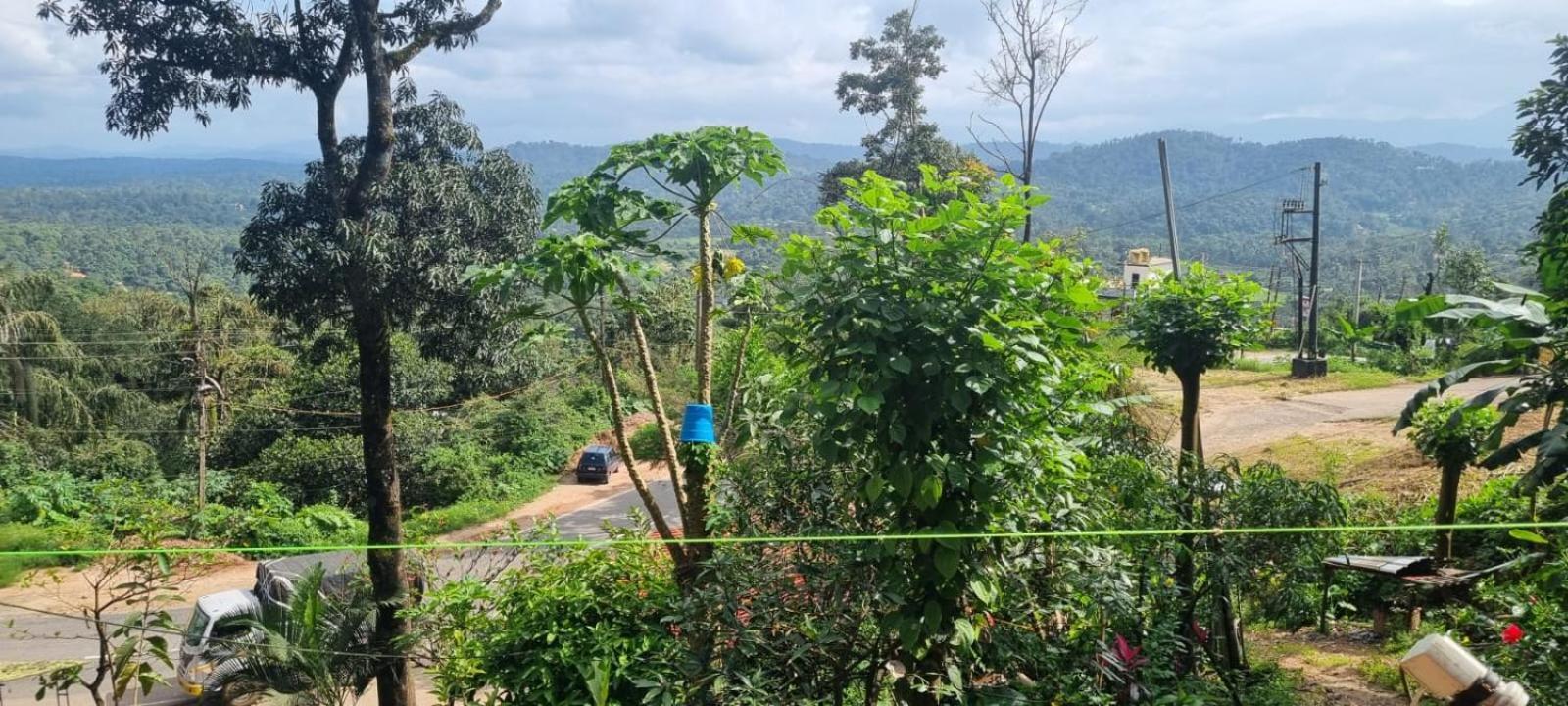 Willa Danny'S Den Madikeri Zewnętrze zdjęcie
